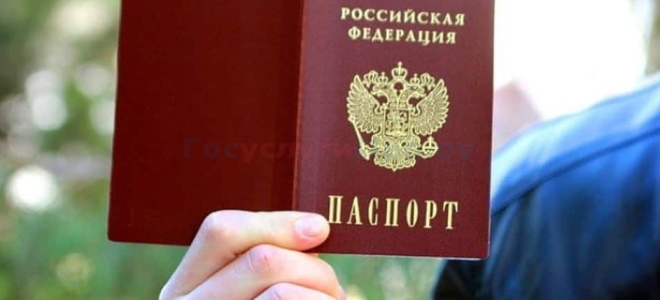 Как заменить паспорт через портал Госуслуги?