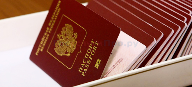 Что делать, если паспорт не проходит проверку на портале Госуслуг?
