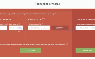Как проверить штраф по номеру автомобиля в Москве онлайн?